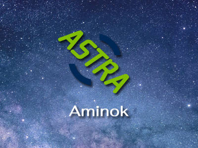 Aminok